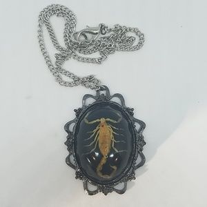 GASOLINE GLAMOUR Jewelry - Black scorpion necklace new π¦π¦π¦π¦ GASOLINE GLAMOUR Jewelry - Black scorpion necklace new π¦π¦π¦π¦